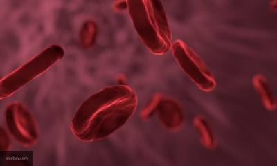 Ученые в США нашли связь между группой крови и реакцией организма на COVID-19 - nation-news.ru - Сша - Колумбия