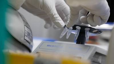 Александр Гинцбург - НИЦ Гамалеи назвал условия старта массовой вакцинации от коронавируса - russian.rt.com