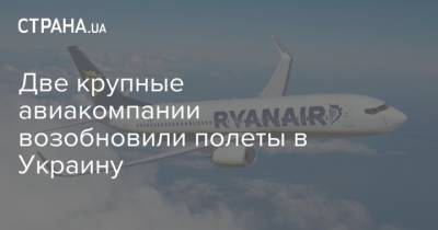 Две крупные авиакомпании возобновили полеты в Украину - strana.ua - Украина - Киев - Мадрид - Берлин