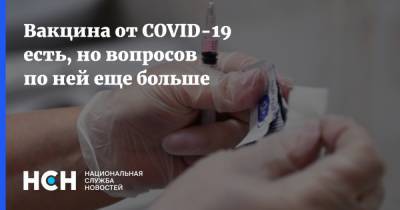 Александр Гинцбург - Вакцина от COVID-19 есть, но вопросов по ней еще больше - nsn.fm - Россия