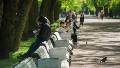 В Петербурге выявлено 217 новых случаев коронавируса - dp.ru - Санкт-Петербург