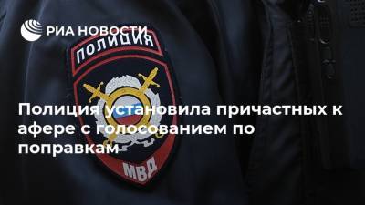Полиция установила причастных к афере с голосованием по поправкам - ria.ru - Москва
