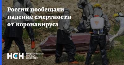 Агаси Тавадян - России пообещали падение смертности от коронавируса - nsn.fm - Россия - Москва