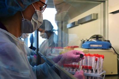 В России выявили 7425 новых случаев заражения коронавирусом - lenta.ru - Россия