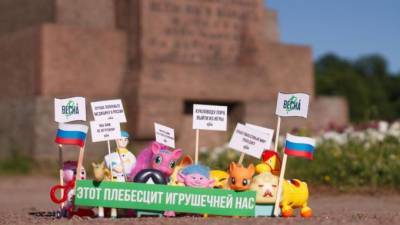 В Петербурге прошли игрушечные пикеты и митинг против поправок в Конституцию - piter.tv - Санкт-Петербург