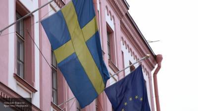 Линда Анн - Кристерссон осудил главу МИД Швеции за высокомерие к немецким журналистам - nation-news.ru - Швеция