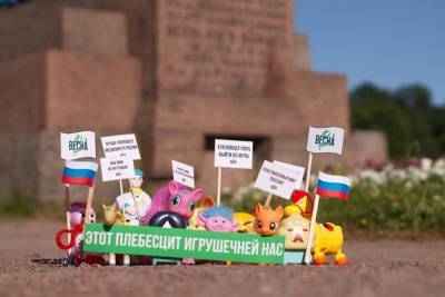 В Петербурге активисты устроили игрушечный митинг. Акцией заинтересовался угрозыск - znak.com - Санкт-Петербург
