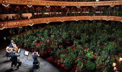 Ирина Зиганшина - Видео дня: Барселонский оперный театр сыграл концерт для деревьев - newizv.ru - Испания