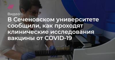 Андрей Никеричев - Елена Смолярчук - В Сеченовском университете сообщили, как проходят клинические исследования вакцины от COVID-19 - tvrain.ru - Москва