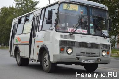Курганских дачников в дни голосования по поправкам в Конституцию будут бесплатно возить на автобусах - nakanune.ru