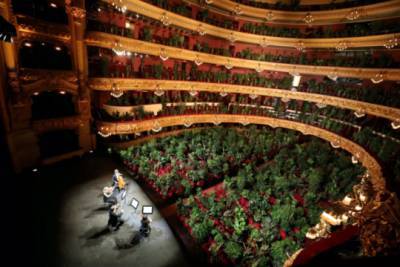В Барселоне оперный театр устроил концерт для растений - versia.ru