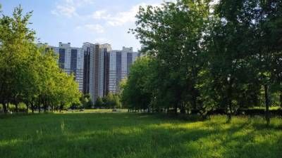 Губернатор обозначил возможный срок открытия парков в городе - piter.tv - Россия - Санкт-Петербург