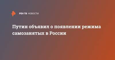 Владимир Путин - Путин объявил о появлении режима самозанятых в России - ren.tv - Россия