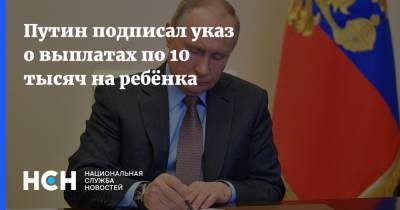 Владимир Путин - Путин подписал указ о выплатах по 10 тысяч на ребёнка - nsn.fm - Россия