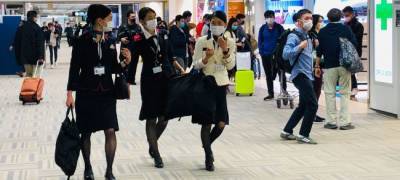 Diamond Princess - В Токио растет число новых случаев инфицирования Covid-19 - eadaily.com - Япония - Токио