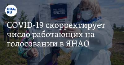 COVID-19 скорректирует число работающих на голосовании в ЯНАО - ura.news - Россия - округ Янао