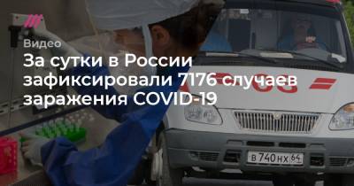 За сутки в России зафиксировали 7176 случаев заражения COVID-19 - tvrain.ru - Россия