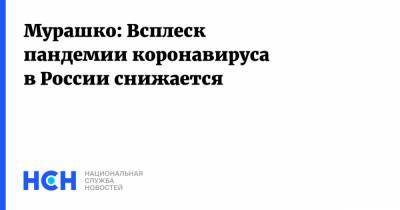 Михаил Мурашко - Мурашко: Всплеск пандемии коронавируса в России снижается - nsn.fm - Россия - Москва
