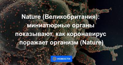 Nature (Великобритания): миниатюрные органы показывают, как коронавирус поражает организм (Nature) - news.mail.ru - Англия