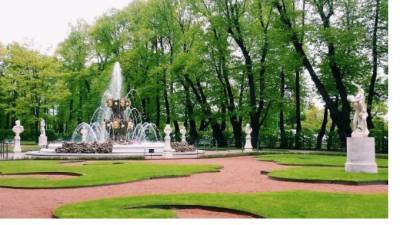 Петербуржцев перестали штрафовать за прогулки в парках - piter.tv - Санкт-Петербург
