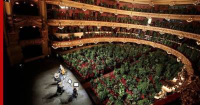 В Барселоне оперный театр открыл сезон концертом для растений - profile.ru - Испания