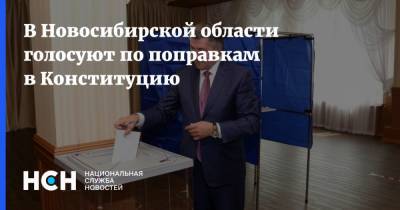 Андрей Шимкив - В Новосибирской области голосуют по поправкам в Конституцию - nsn.fm - Россия - Новосибирская обл.