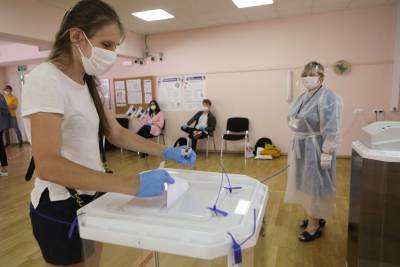 Вадим Ковалев - Москвичам рассказали, когда наступит пик скопления голосующих на участках - vm.ru - Москва