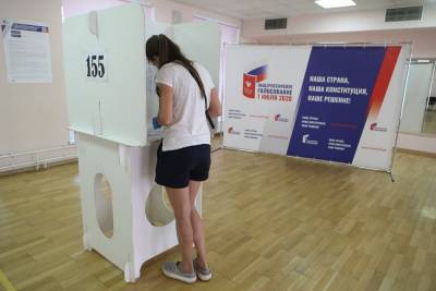 Порядка 260 тысяч москвичей поучаствовали в электронном голосовании по поправкам - vm.ru - Россия - Москва
