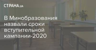 Любомира Мандзий - В Минобразования назвали сроки вступительной кампании-2020 - strana.ua - Украина