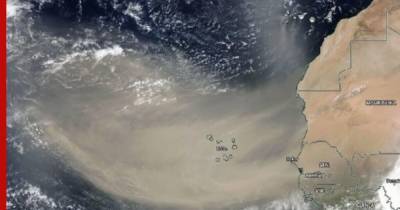 Угрожающее США облако пыли признали крупнейшим за 50 лет - profile.ru - Сша - штат Техас - штат Луизиана