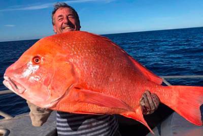 Мужчина поймал самую большую рыбу в жизни и пожертвовал ее науке - lenta.ru - Australia - штат Квинсленд