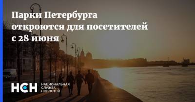 Парки Петербурга откроются для посетителей с 28 июня - nsn.fm - Санкт-Петербург