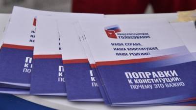 ТОП-3 фейка, связанных с голосованием по поправкам в Конституцию - 5-tv.ru - Россия