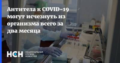 Антитела к COVID-19 могут исчезнуть из организма всего за два месяца - nsn.fm - Китай