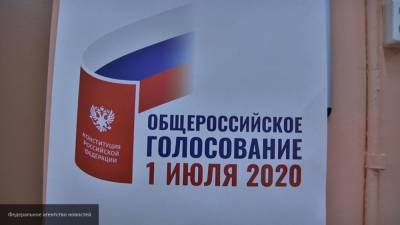 Почти 50% избирателей приняли участие в электронном голосовании по Конституции - nation-news.ru - Россия