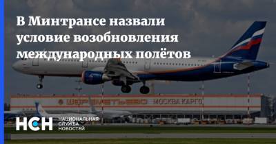Евгений Дитрих - В Минтрансе назвали условие возобновления международных полётов - nsn.fm - Россия - Минтранс