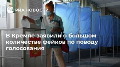 Дмитрий Песков - В Кремле заявили о большом количестве фейков по поводу голосования - ria.ru - Москва - Владивосток