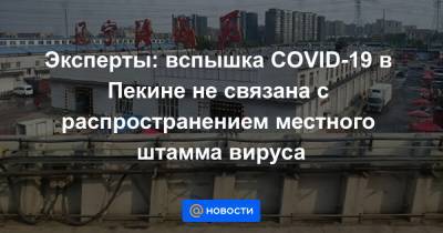 Эксперты: вспышка COVID-19 в Пекине не связана с распространением местного штамма вируса - news.mail.ru - Китай - Пекин