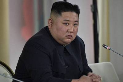 Ким Ченын - В Минобороны Японии заявили о проблемах со здоровьем у Ким Чен Ына - versia.ru - Япония - Токио - Кндр