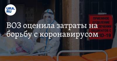 ВОЗ оценила затраты на борьбу с коронавирусом - ura.news