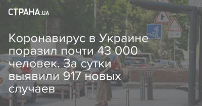 Коронавирус в Украине поразил почти 43 000 человек. За сутки выявили 917 новых случаев - strana.ua - Украина