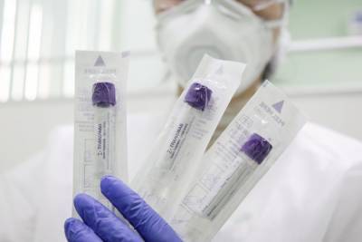 Более 19 миллионов тестов на коронавирус сделали в России - vm.ru - Россия - Москва