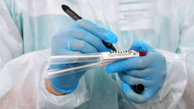 Добровольцы-испытатели вакцины от COVID-19 приняли участие в голосовании - russian.rt.com - Россия