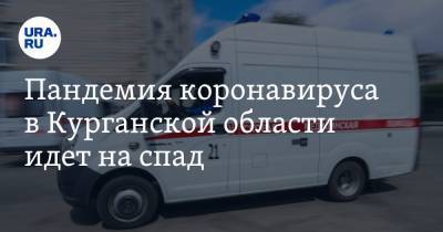 Пандемия коронавируса в Курганской области идет на спад - ura.news - Курганская обл.