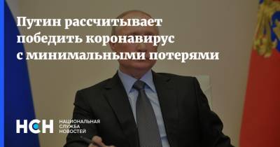 Владимир Путин - Путин рассчитывает победить коронавирус с минимальными потерями - nsn.fm - Россия - Москва - Президент