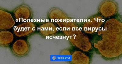 «Полезные пожиратели». Что будет с нами, если все вирусы исчезнут? - news.mail.ru