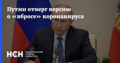 Владимир Путин - Путин отверг версию о «вбросе» коронавируса - nsn.fm - Россия