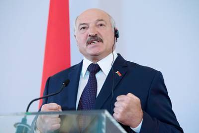 Александр Лукашенко - Лукашенко призвал задуматься о фейковой теории возникновения коронавируса - lenta.ru - Белоруссия