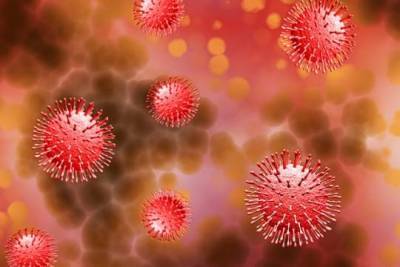 Адан Гебрейесус - Распространение пандемии коронавируса на глобальном уровне ускоряется – ВОЗ - versia.ru