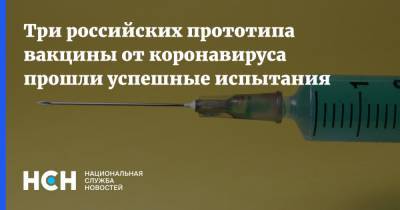 Ринат Максютов - Три российских прототипа вакцины от коронавируса прошли успешные испытания - nsn.fm - Россия